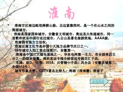 我的家乡--淮南