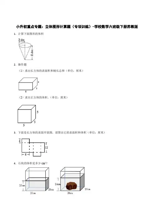 小升初重点专题：立体图形计算题(专项训练)-小学数学六年级下册苏教版