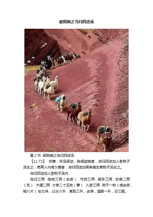 厥阴病之当归四逆汤
