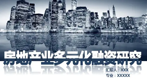 【精品推荐完整版】房地产业行业融资项目分析【ppt版可编辑】