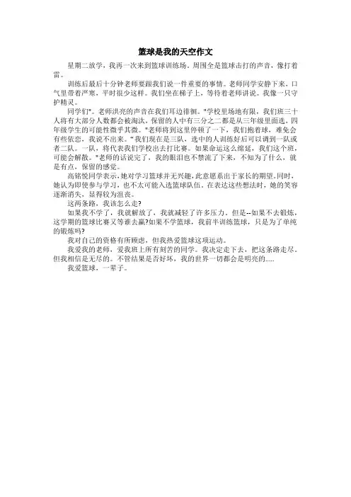 篮球是我的天空作文
