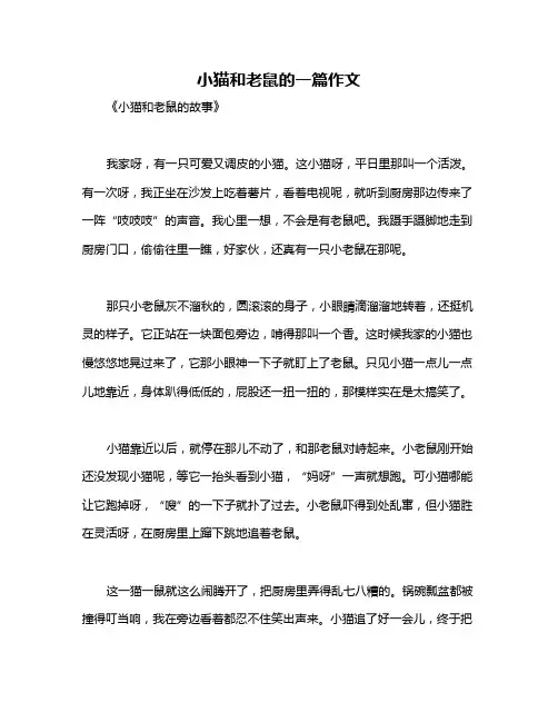 小猫和老鼠的一篇作文