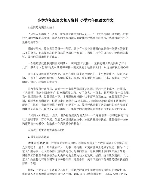 小学六年级语文复习资料_小学六年级语文作文