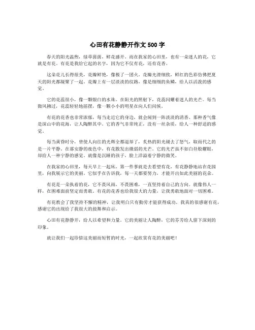 心田有花静静开作文500字