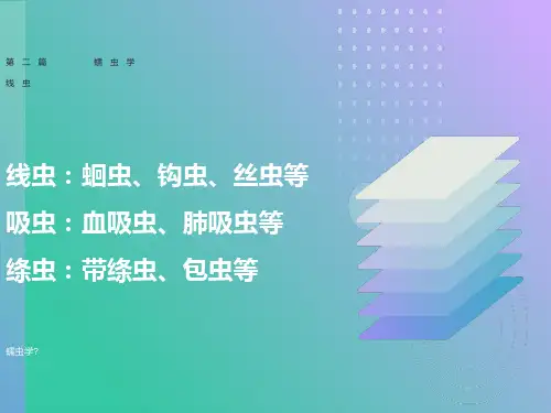 人体寄生虫学蛔虫鞭虫蛲虫