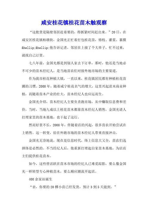 咸安桂花镇桂花苗木触网观察