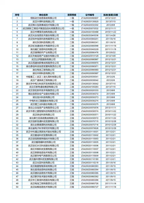 湖北省系统集成资质企业名单