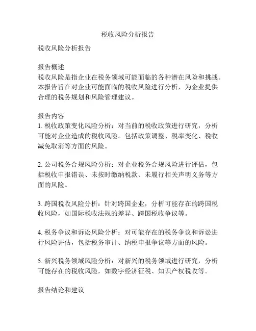 税收风险分析报告
