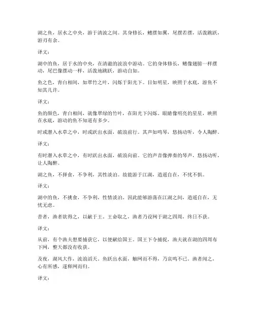 湖之鱼文言文逐字翻译