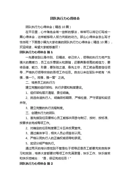 团队执行力心得体会