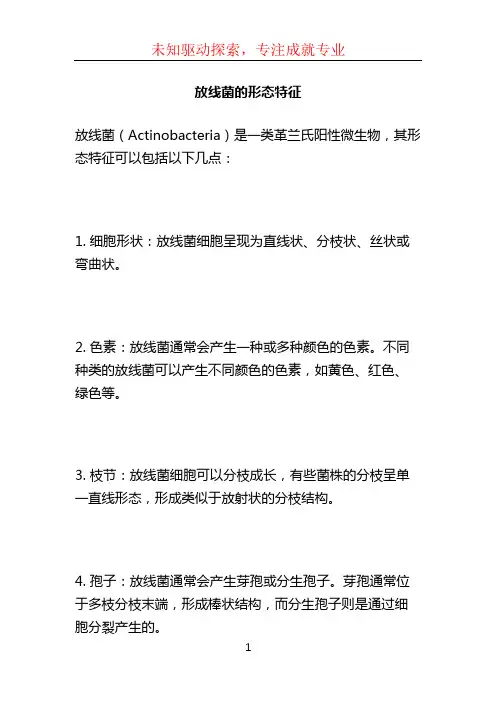 放线菌的形态特征