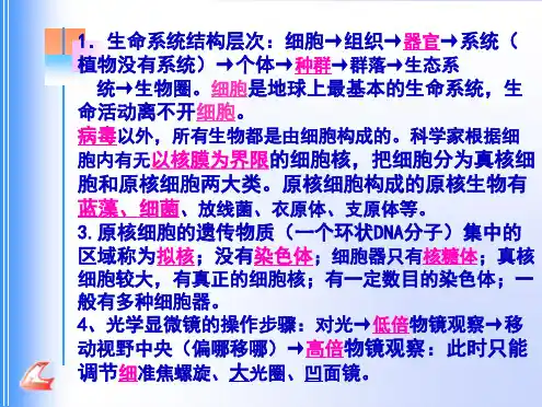 高中生物 必修1 知识要点(共38张PPT)
