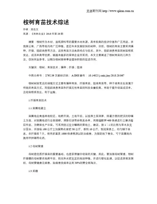 桉树育苗技术综述