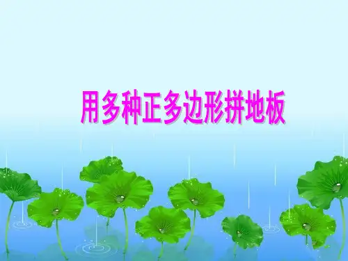 9.3.2用多种正多边形铺地板