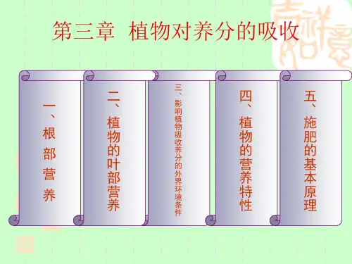 养分吸收