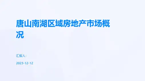 唐山南湖区域房地产市场概况