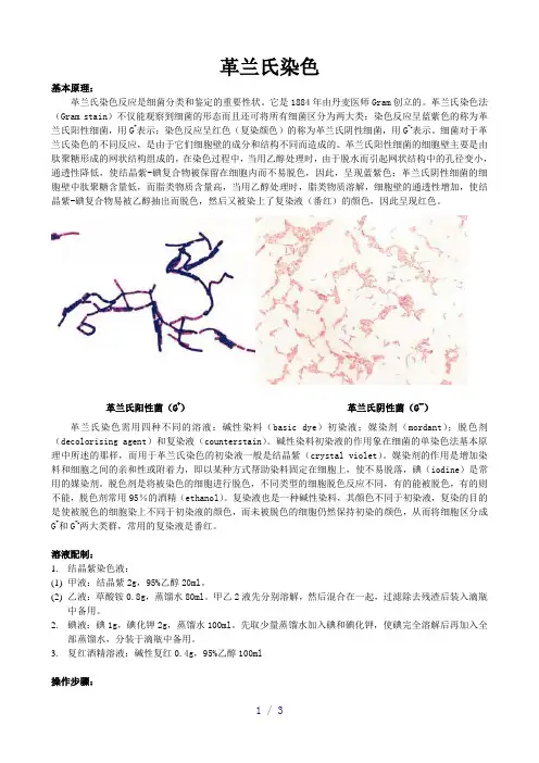 革兰氏阴阳性菌鉴别方法