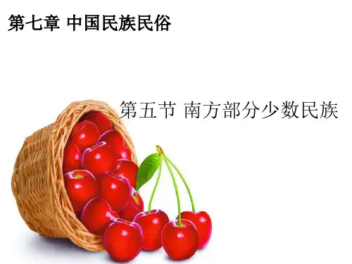第五节 南方部分少数民族