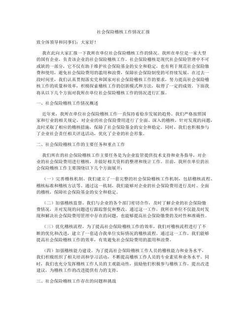 社会保险稽核工作情况汇报
