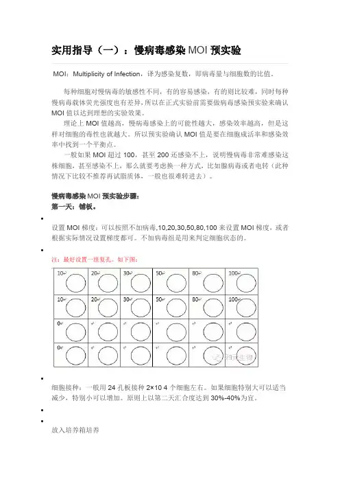 实用指导一：慢病毒感染MOI预实验