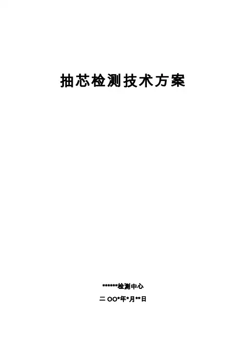 抽芯检测技术方案