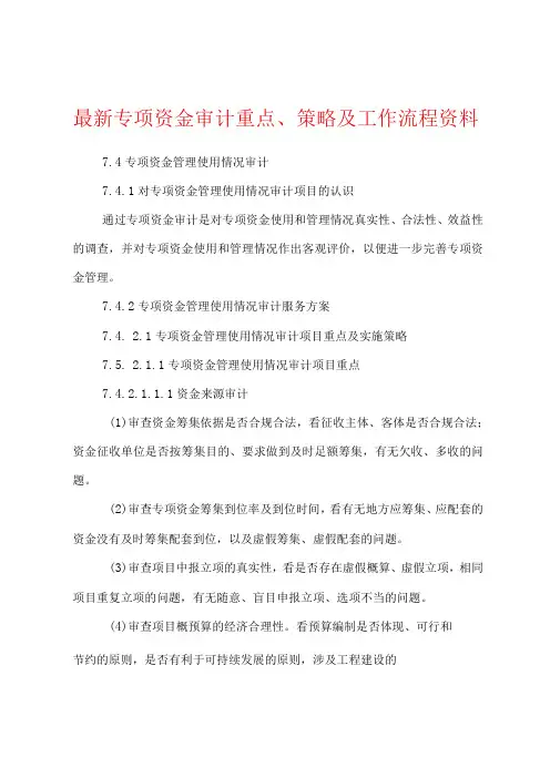 最新专项资金审计重点策略及工作流程资料