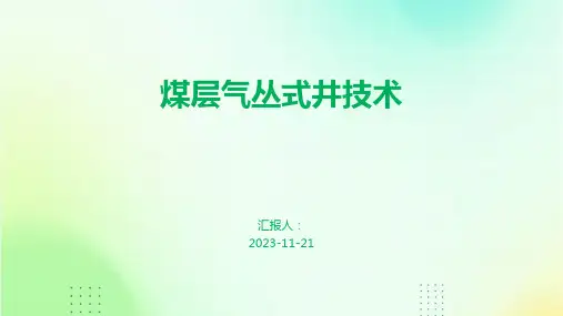 煤层气丛式井技术