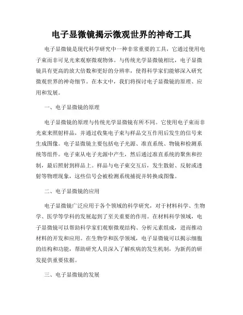 电子显微镜揭示微观世界的神奇工具