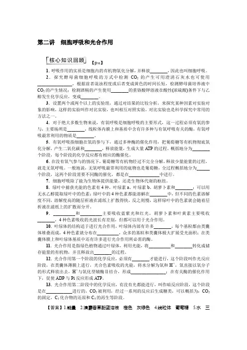 二轮复习细胞呼吸和光合作用学案1