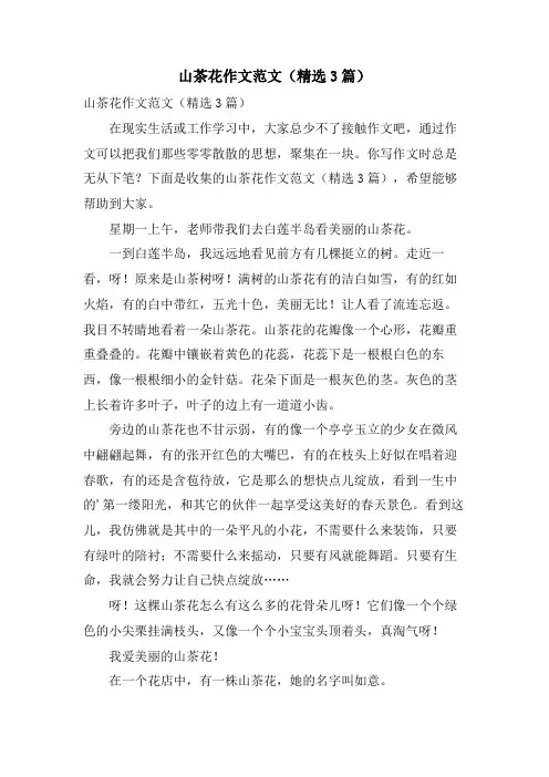 山茶花作文范文(3篇)