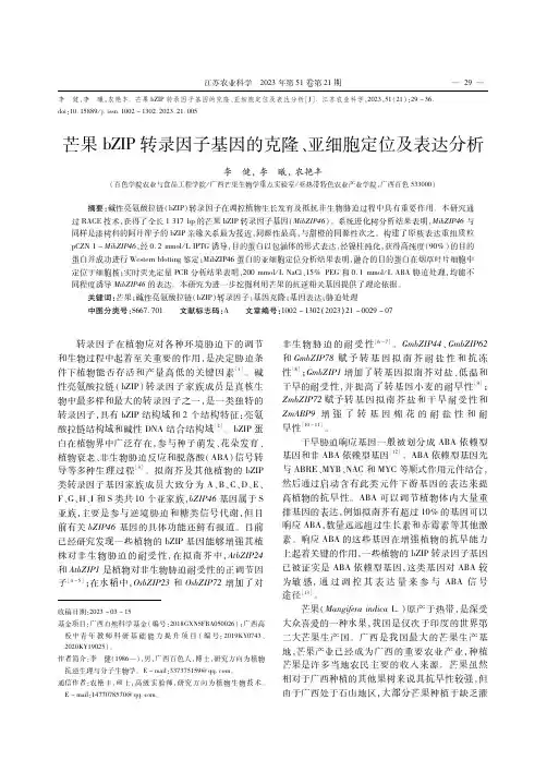 芒果bZIP转录因子基因的克隆、亚细胞定位及表达分析