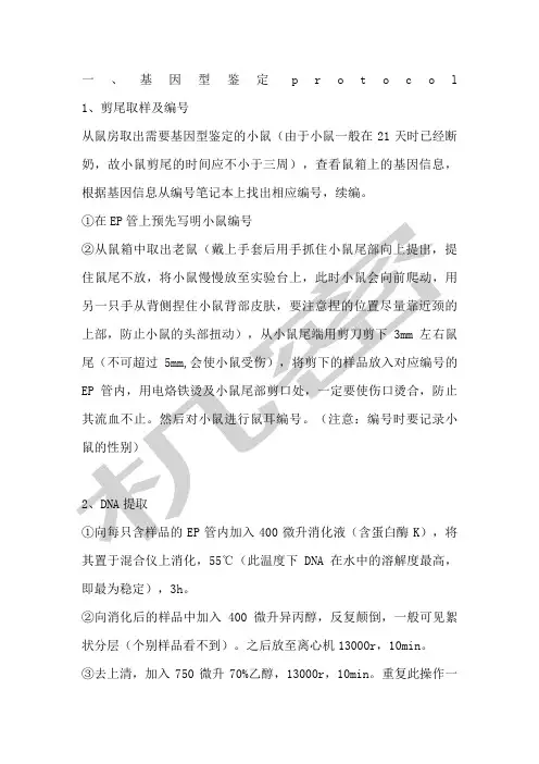 基因型鉴定protocol