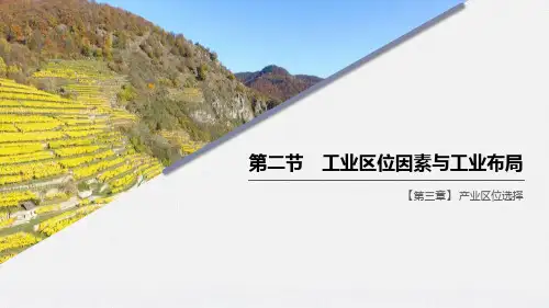 《工业区位因素与工业布局》产业区位选择PPT