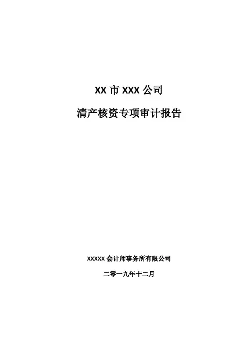 清产核资审计报告