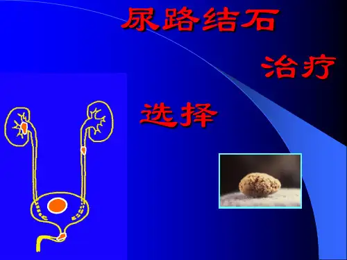 尿路结石ppt课件