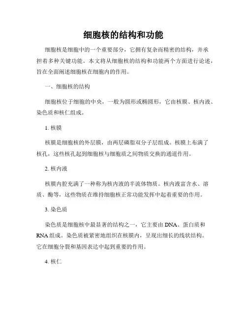 细胞核的结构和功能