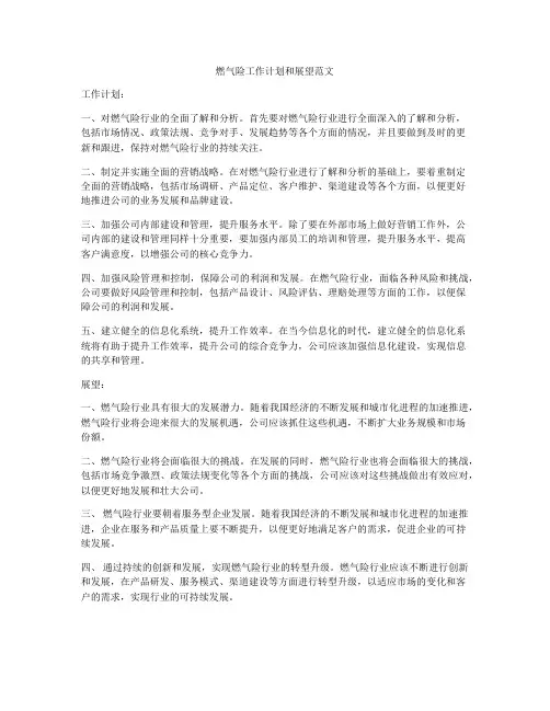 燃气险工作计划和展望范文