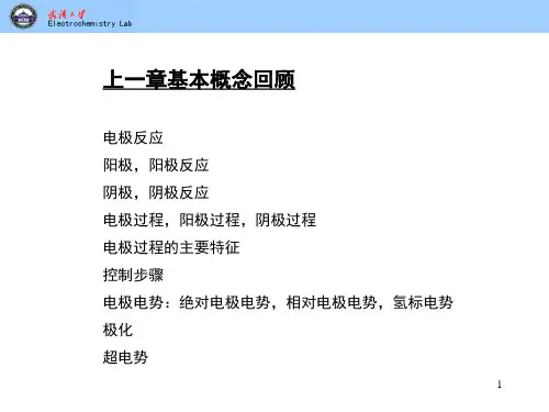 电极与溶液界面的性质