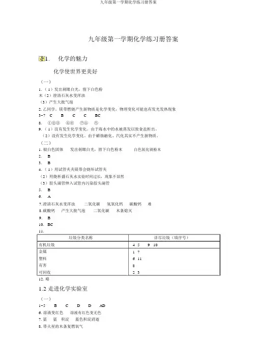 九年级第一学期化学练习册答案
