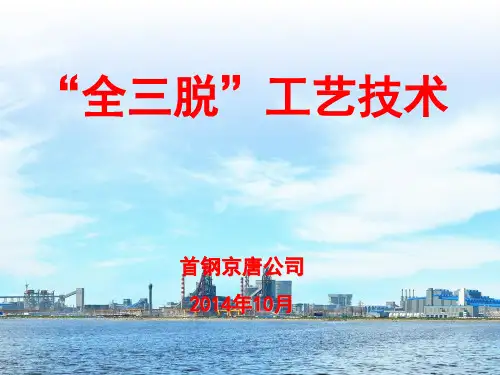 “全三脱”工艺技术介绍20140411