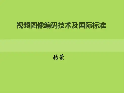 视频图像编码技术及国际标准