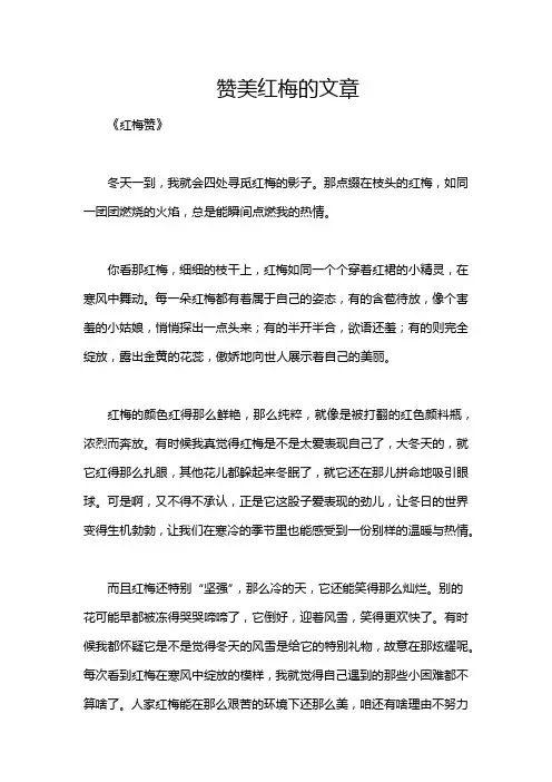 赞美红梅的文章