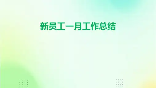新员工一月工作总结PPT