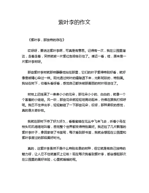 紫叶李的作文