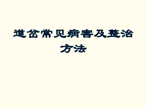 铁路道岔常见病害及整治方法[详细]
