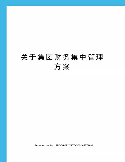 关于集团财务集中管理方案