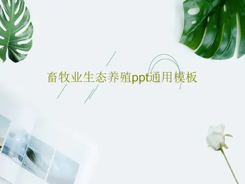 畜牧业生态养殖ppt通用模板共26页