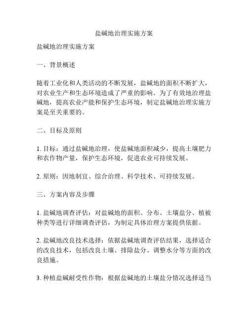 盐碱地治理实施方案