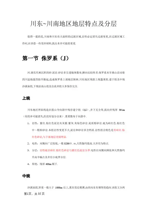 川东~川南地区地层特征及分层
