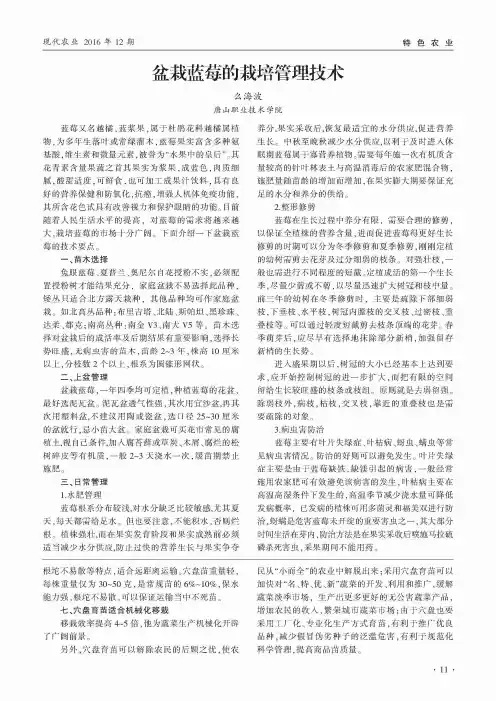 盆栽蓝莓的栽培管理技术
